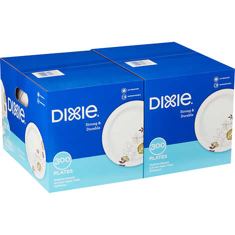 Plato de papel, Dixie Medium-Weight Paper Plate, 8-1/2", Pathways, Paquete 600 unidades